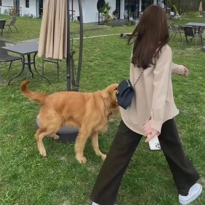铁幕下的童年